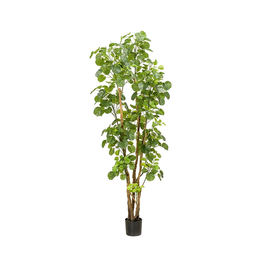 arbol-artificial-decorativo-aralia-decoplanta-001