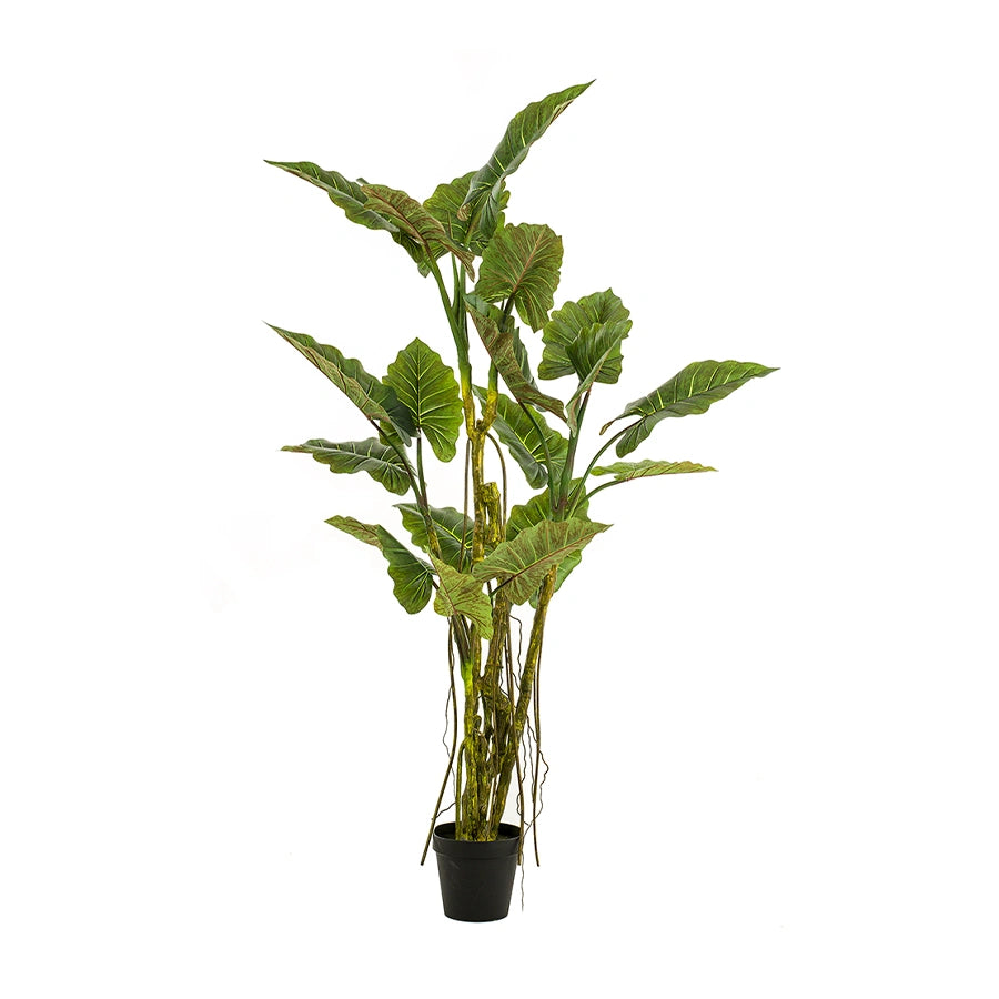 arbol-artificial-decorativo-colocasia-decoplanta-001