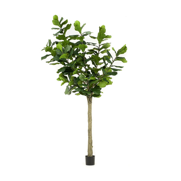 arbol-artificial-decorativo-ficus-lyrata-alto-decoplanta-001