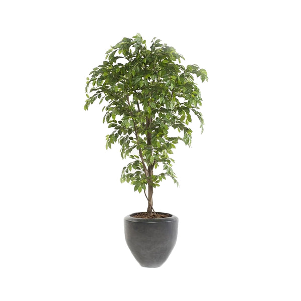 arbol-artificial-decorativo-ficus-premium-decoplanta-001