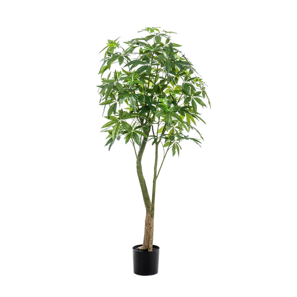 Árbol Artificial Pachira
