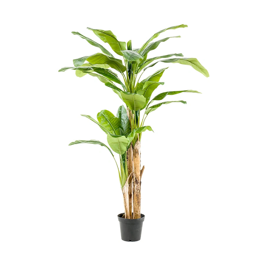 arbol-artificial-decorativo-platanero-multitronco-decoplanta-001