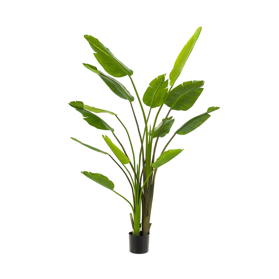 arbol-artificial-decorativo-strelitzia-nicolai-decoplanta-001