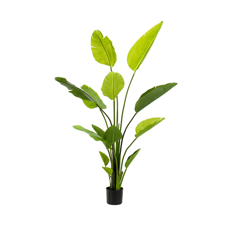 arbol-artificial-decorativo-strelitzia-nicolai-decoplanta-002