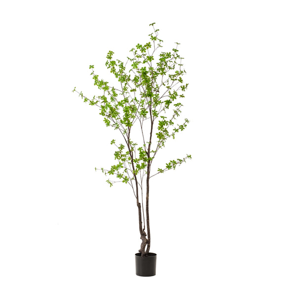 Árbol Artificial Tropaelum