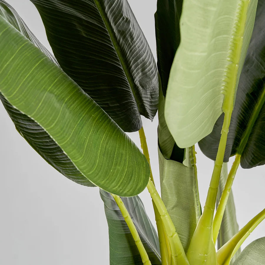 Bananero 22683 de Vical Home — imagen 2