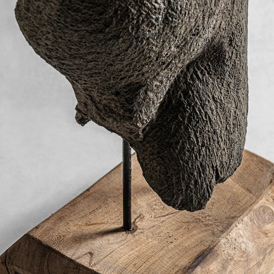 Busto Man