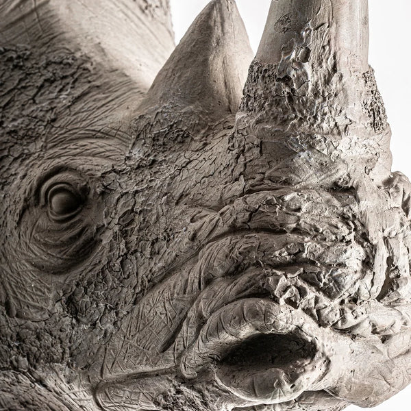 busto-rinoceronte-vical-home-ifdesign-store-003