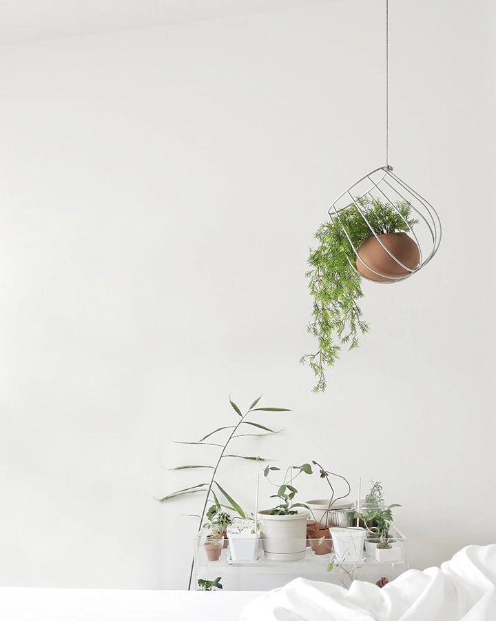 lampara-de-suspension-light-plant-container-plussmi-ifdesign-store-003