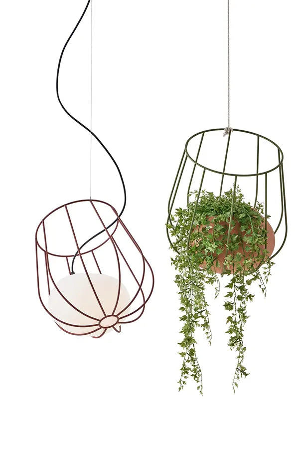 lampara-de-suspension-light-plant-container-plussmi-ifdesign-store-008