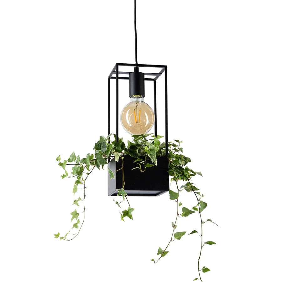 Lámpara colgante Lumen en un ambiente — la bombilla de filamento y la planta no van incluidas