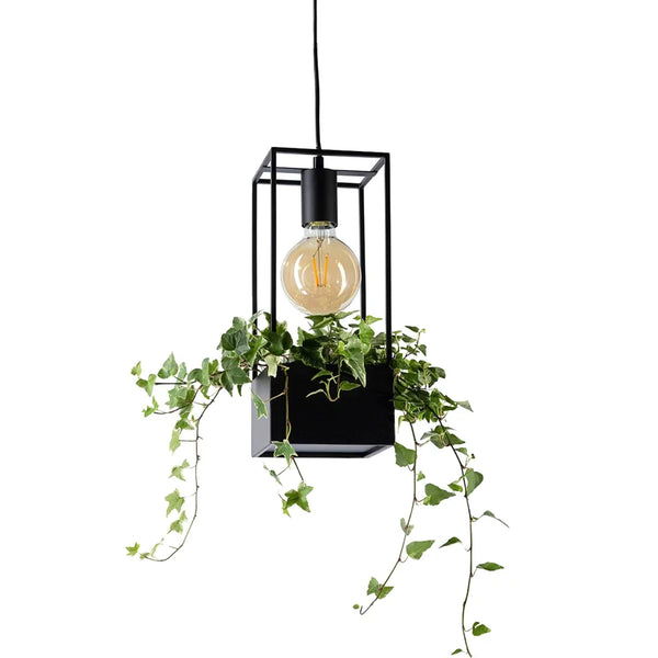 Lámpara colgante Lumen en un ambiente — la bombilla de filamento y la planta no van incluidas