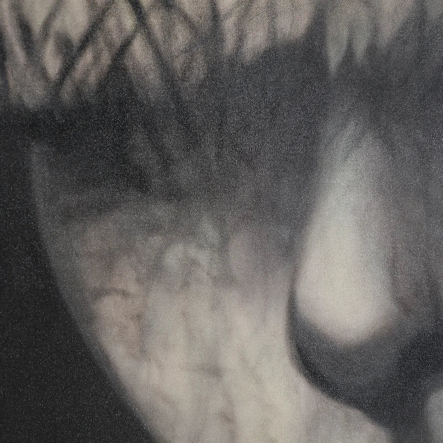 Lienzo Geos