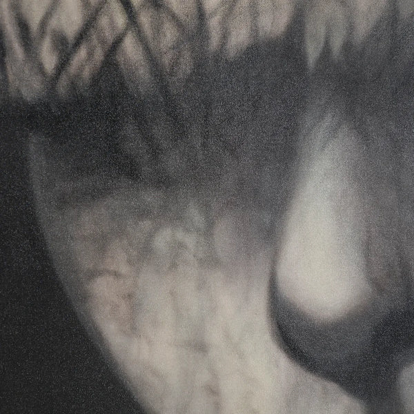 Lienzo Geos