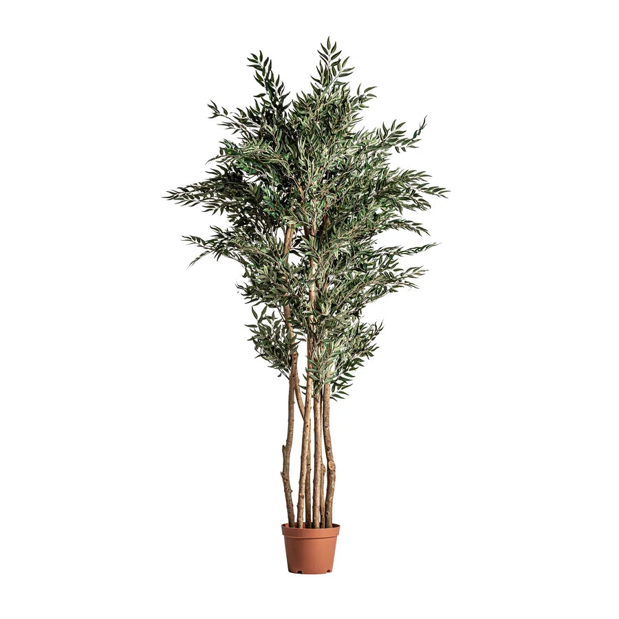 Olivo 22693 de Vical Home