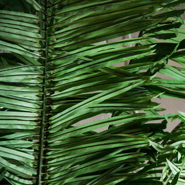 Palmera 27416 de Vical Home — imagen 2