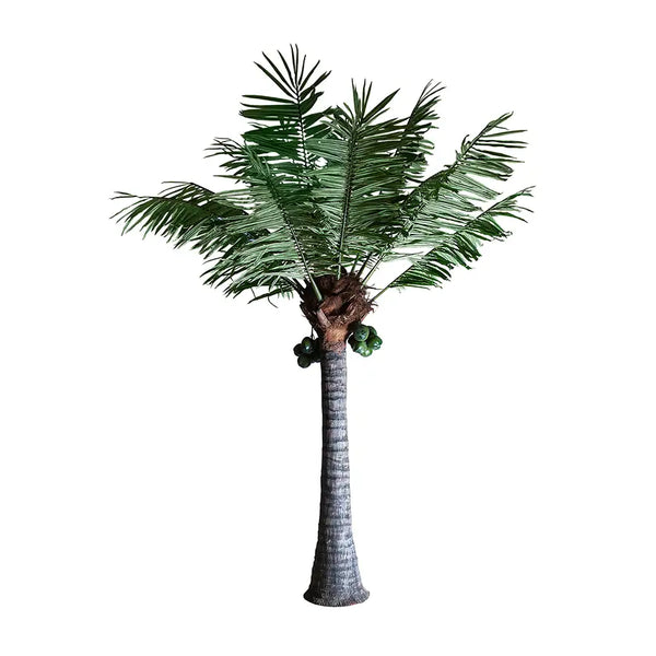 Palmera 27416