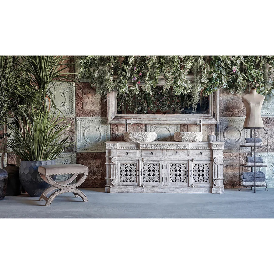 Planta Split Philo