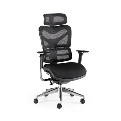 Silla de Oficina New Ergostone