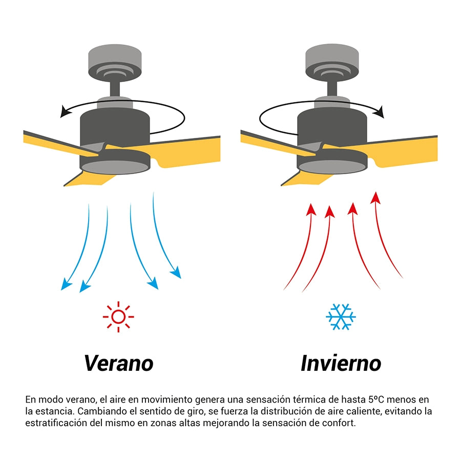 ventilador-de-techo-achilia-sulion-006