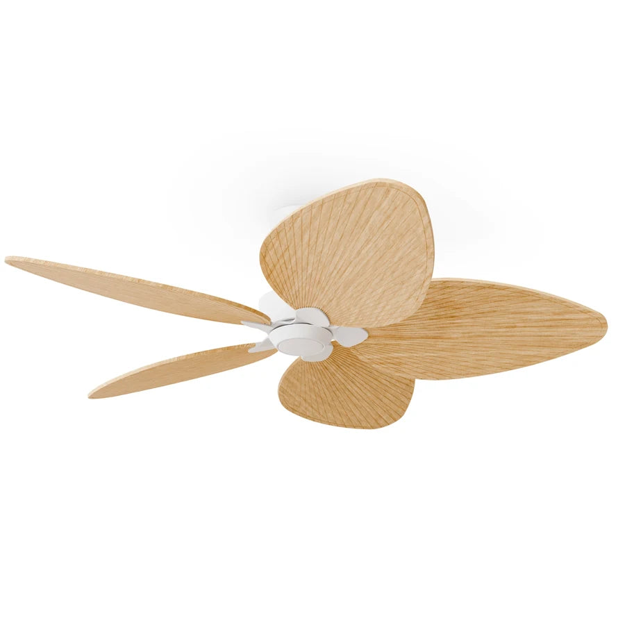alma l 010 — Blanco / Madera clara