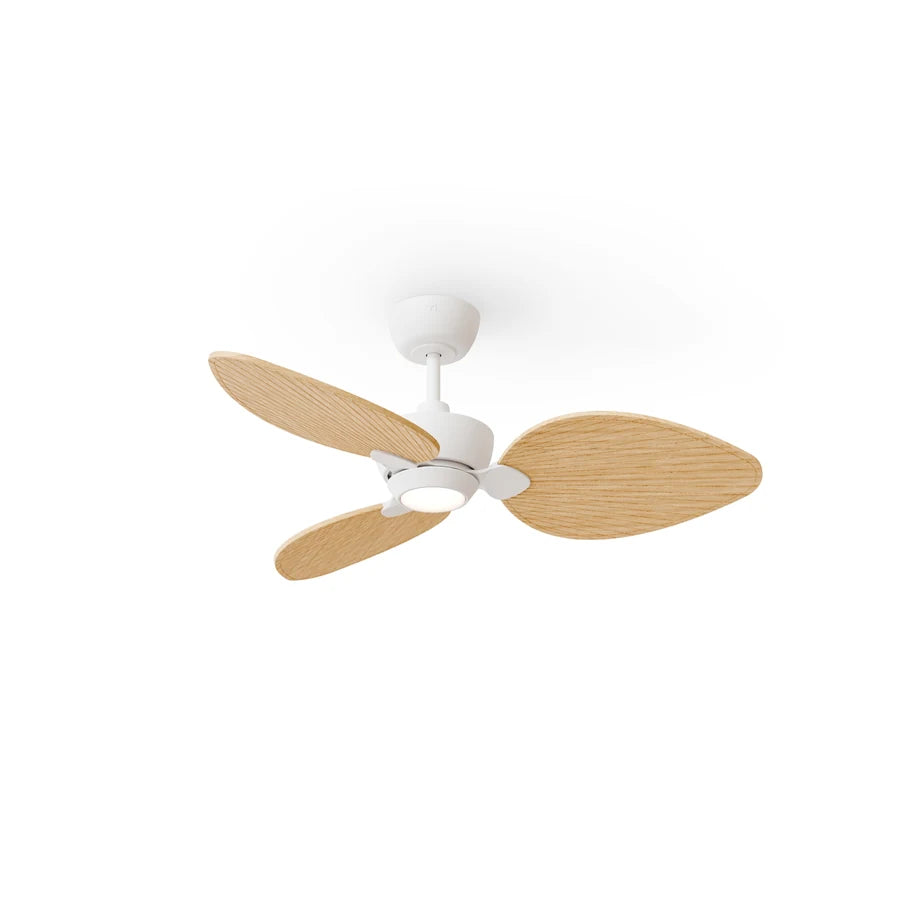 alma s con luz 001 — Blanco / Madera clara