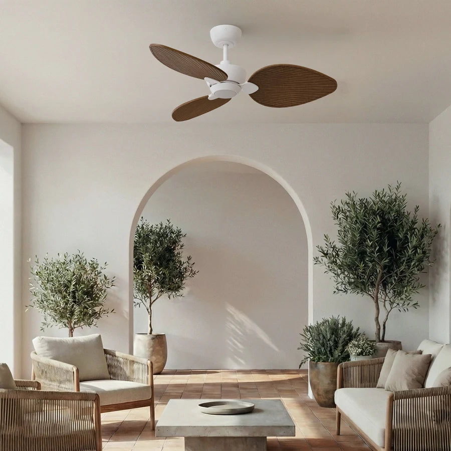 alma s con luz 008 — Blanco / Madera oscura