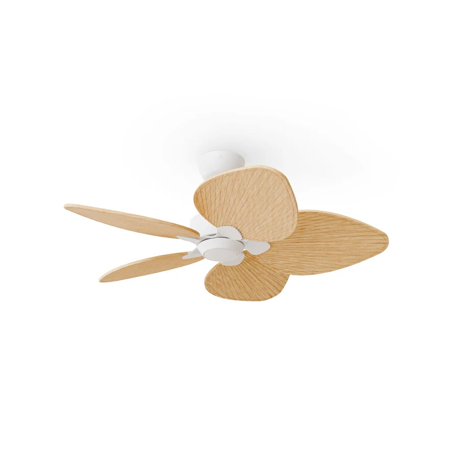 alma s 001 — Blanco / Madera clara