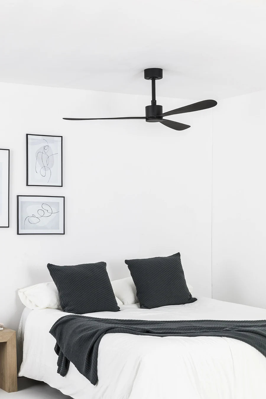 Ventilador de Techo Amelia