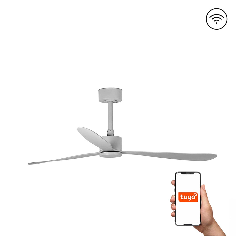 Ventilador de Techo Amelia