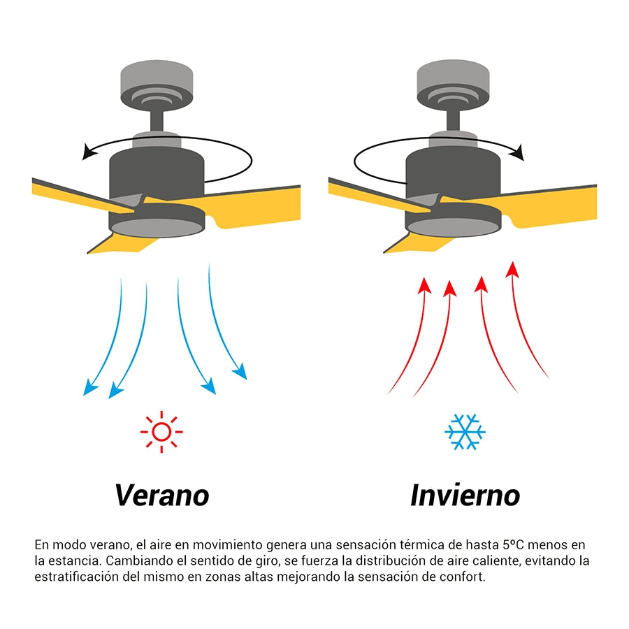Ventilador de Techo Carla L