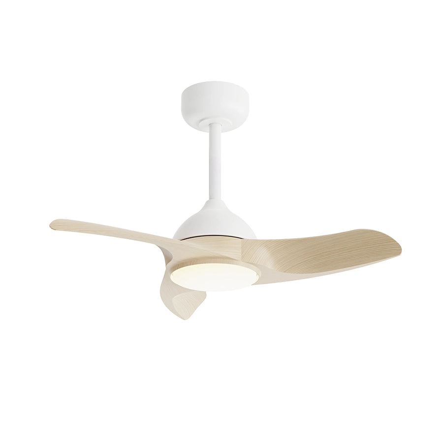 ventilador-de-techo-diehl-s-sulion-009