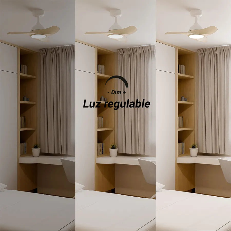 ventilador-de-techo-diehl-s-sulion-016