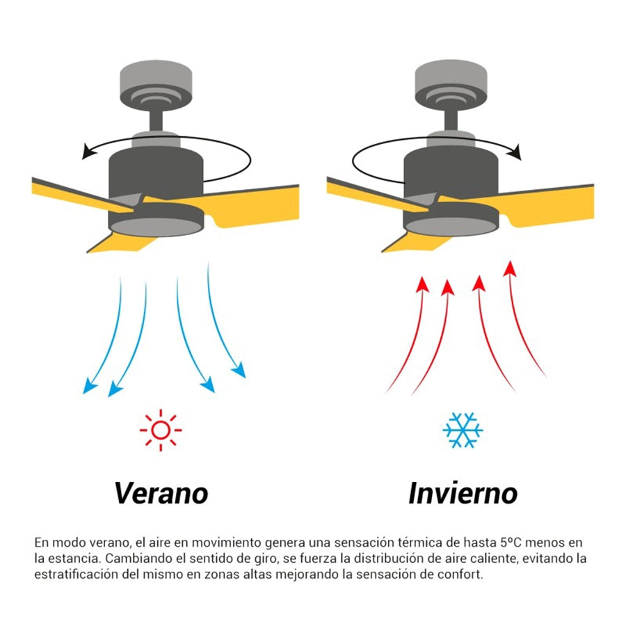 ventilador-de-techo-ivy-sulion-012