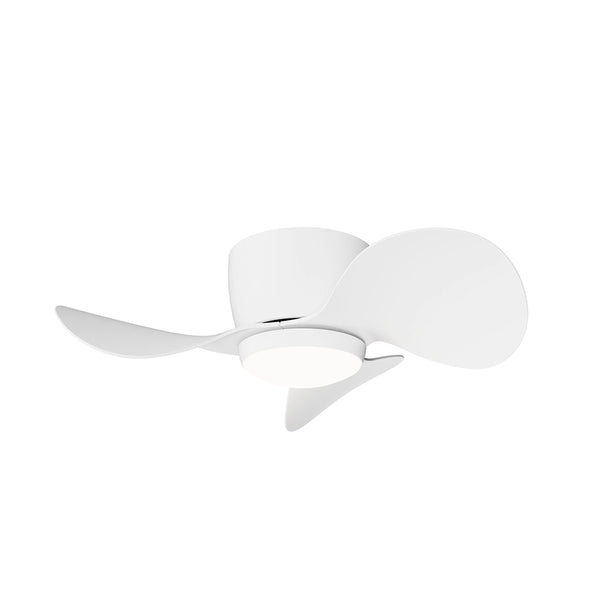 Ventilador de Techo Monty