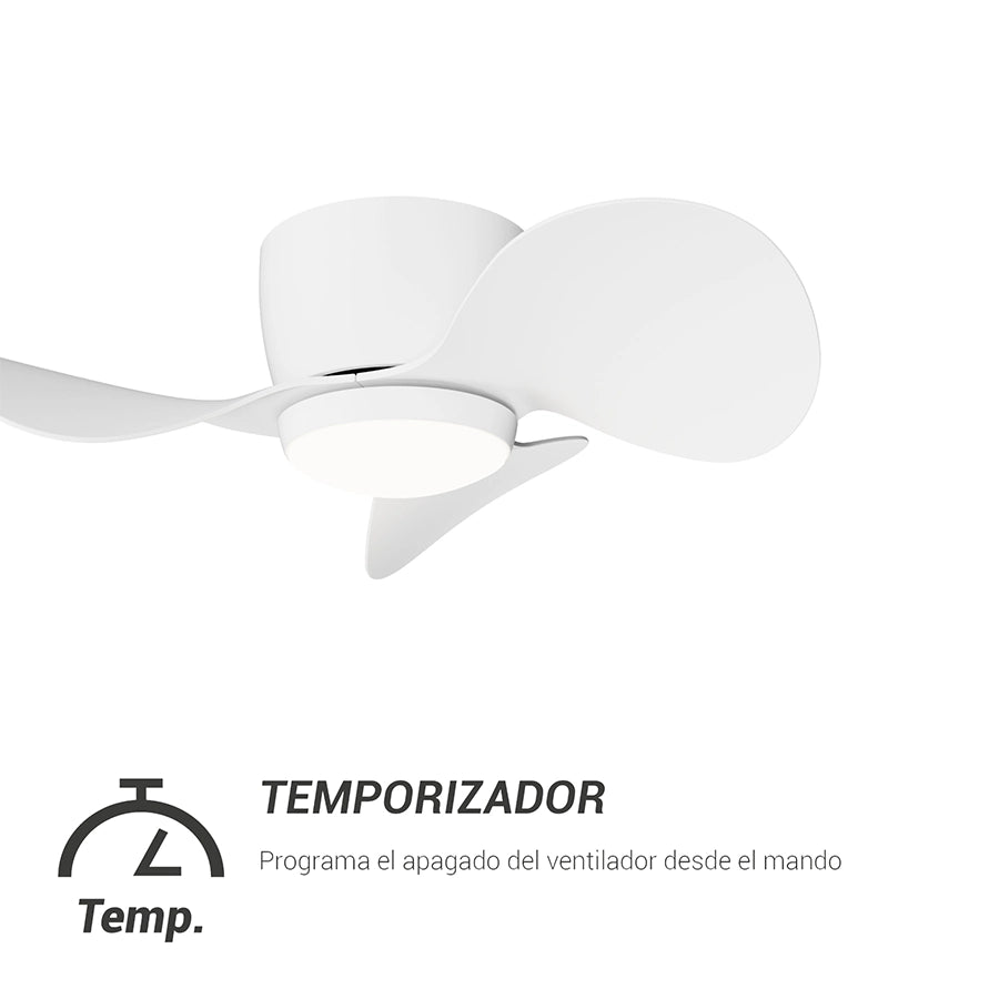 Ventilador de Techo Monty