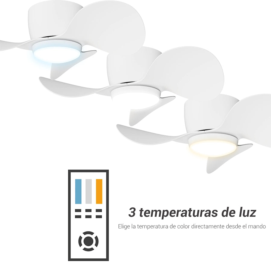 Ventilador de Techo Monty