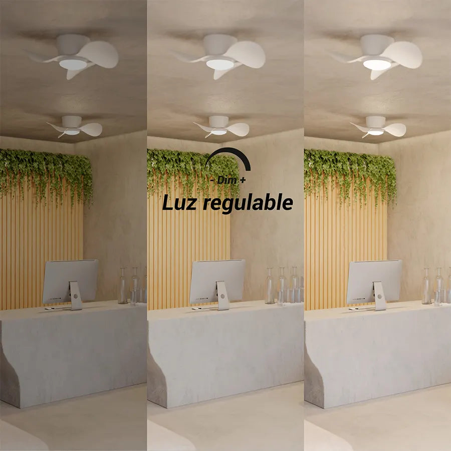 Ventilador de Techo Monty