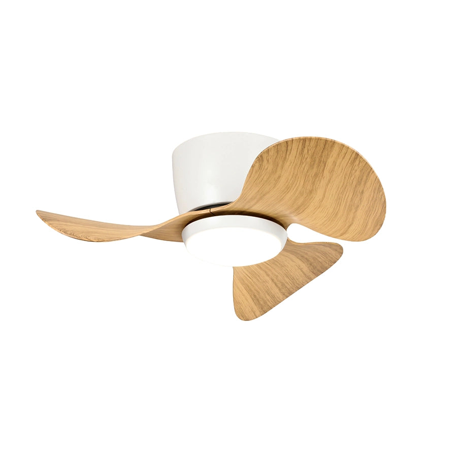 Ventilador de Techo Monty