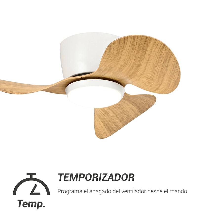 Ventilador de Techo Monty