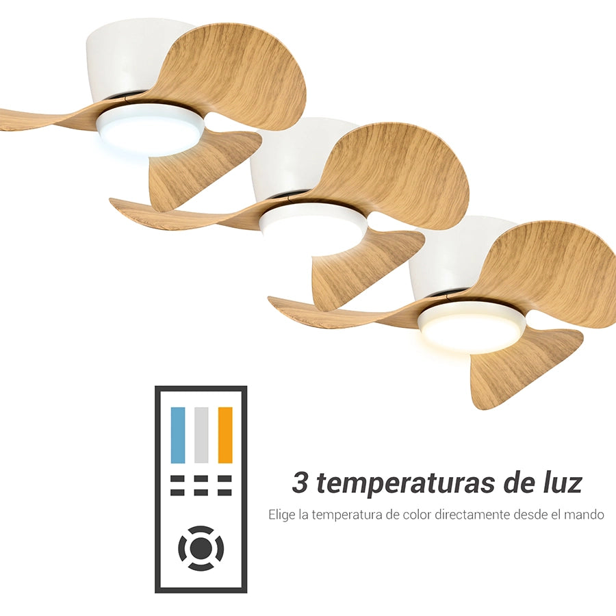 Ventilador de Techo Monty