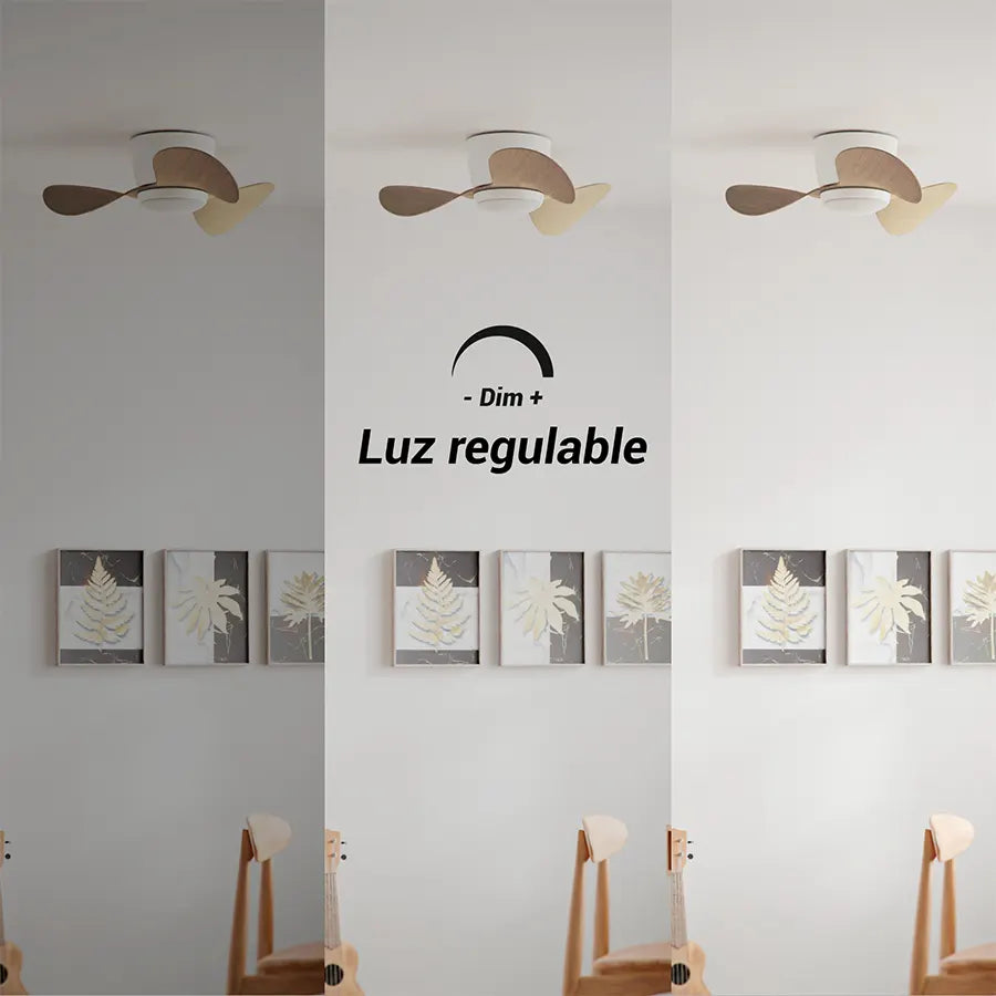 Ventilador de Techo Monty