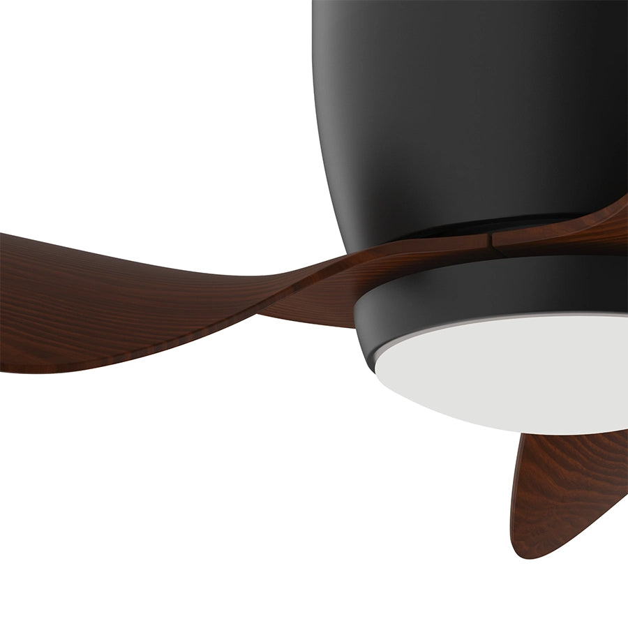 Ventilador de Techo Monty
