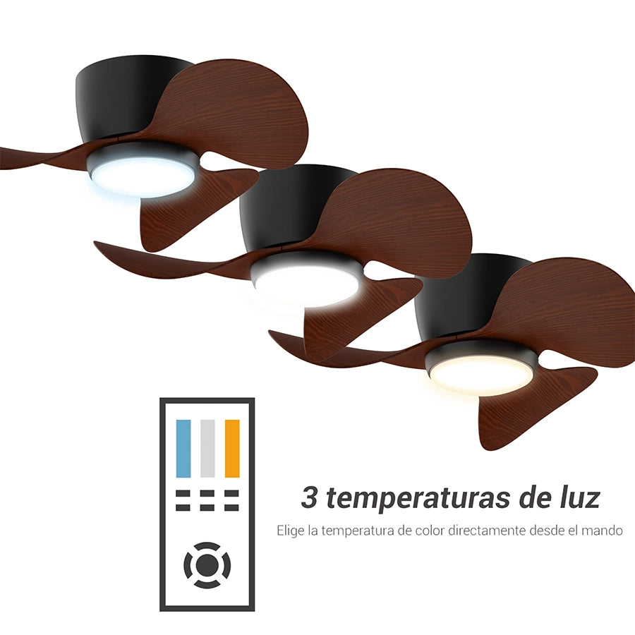 Ventilador de Techo Monty