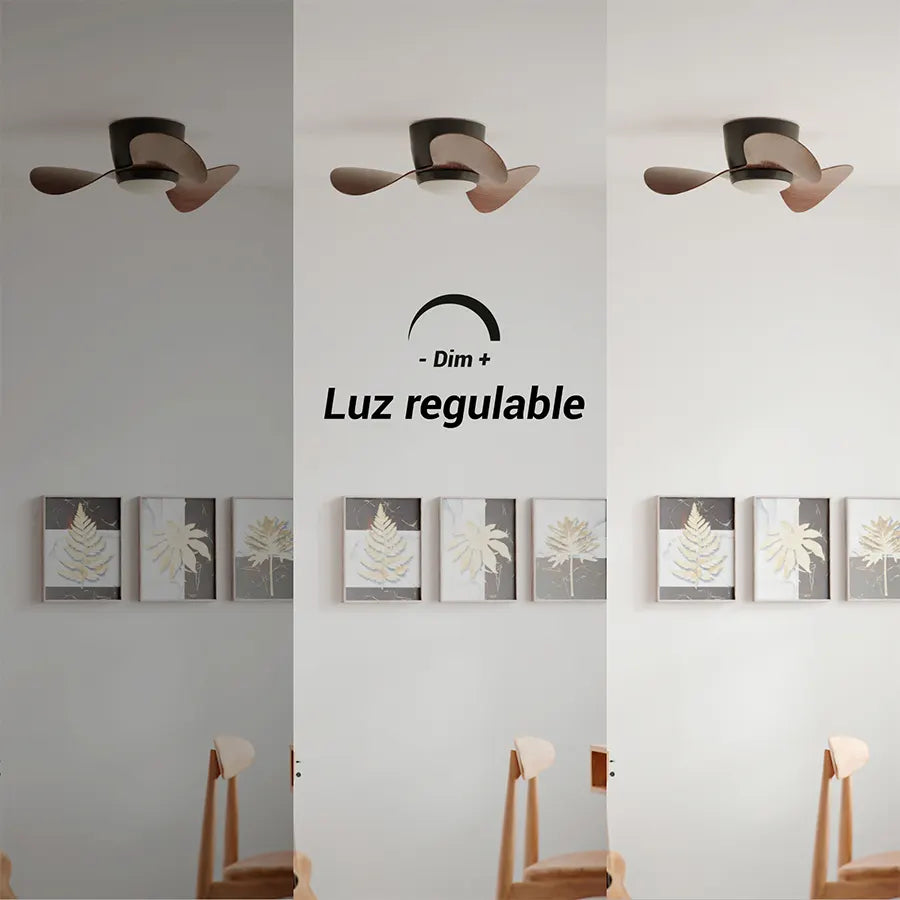 Ventilador de Techo Monty