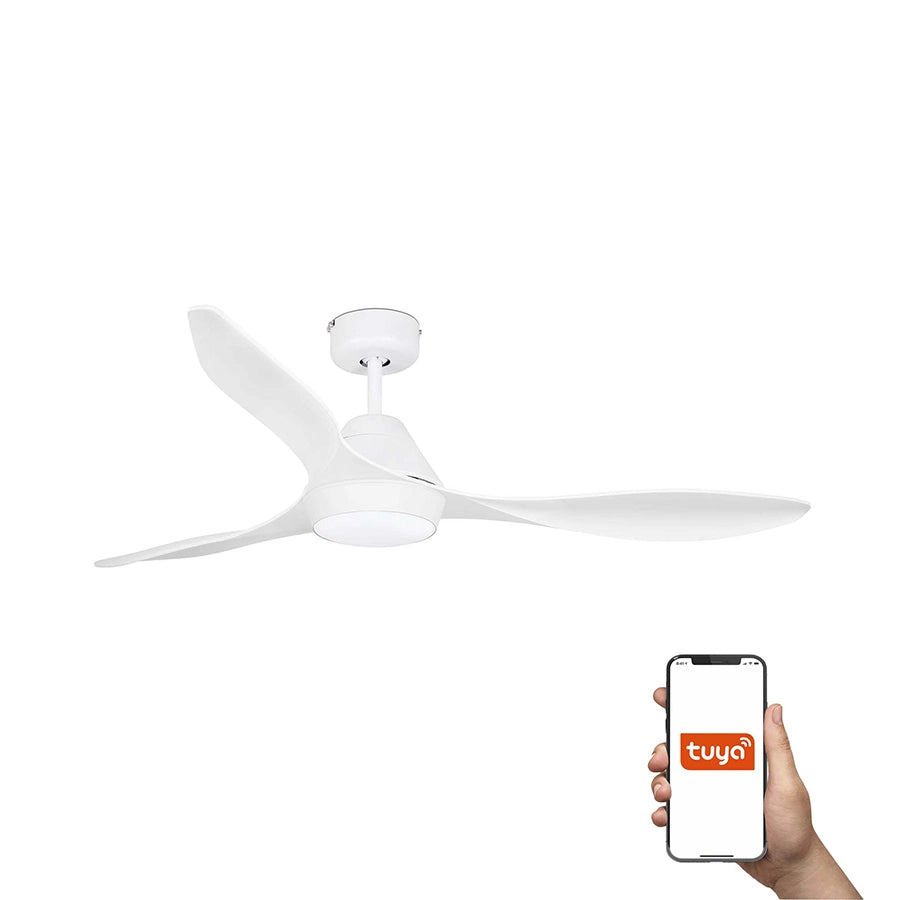 Ventilador De Techo Polaris Faro Barcelona Ifdesign Store 006