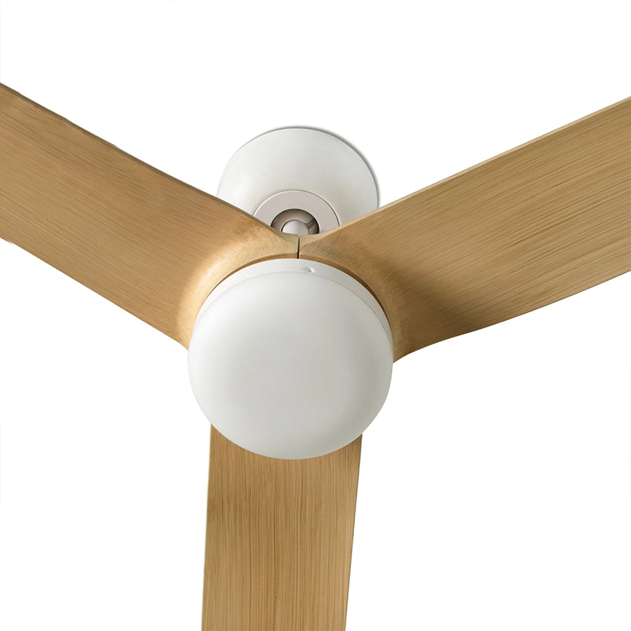 Ventilador de Techo Punt