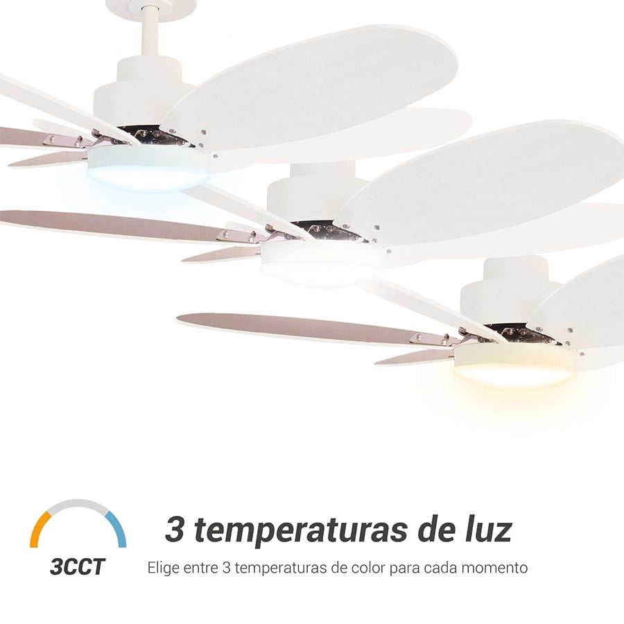 ventilador-de-techo-rainbow-m-sulion-007