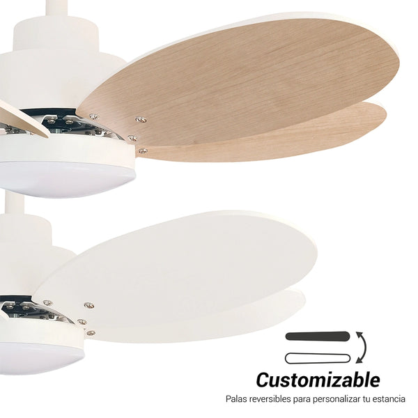 ventilador-de-techo-rainbow-s-sulion-005