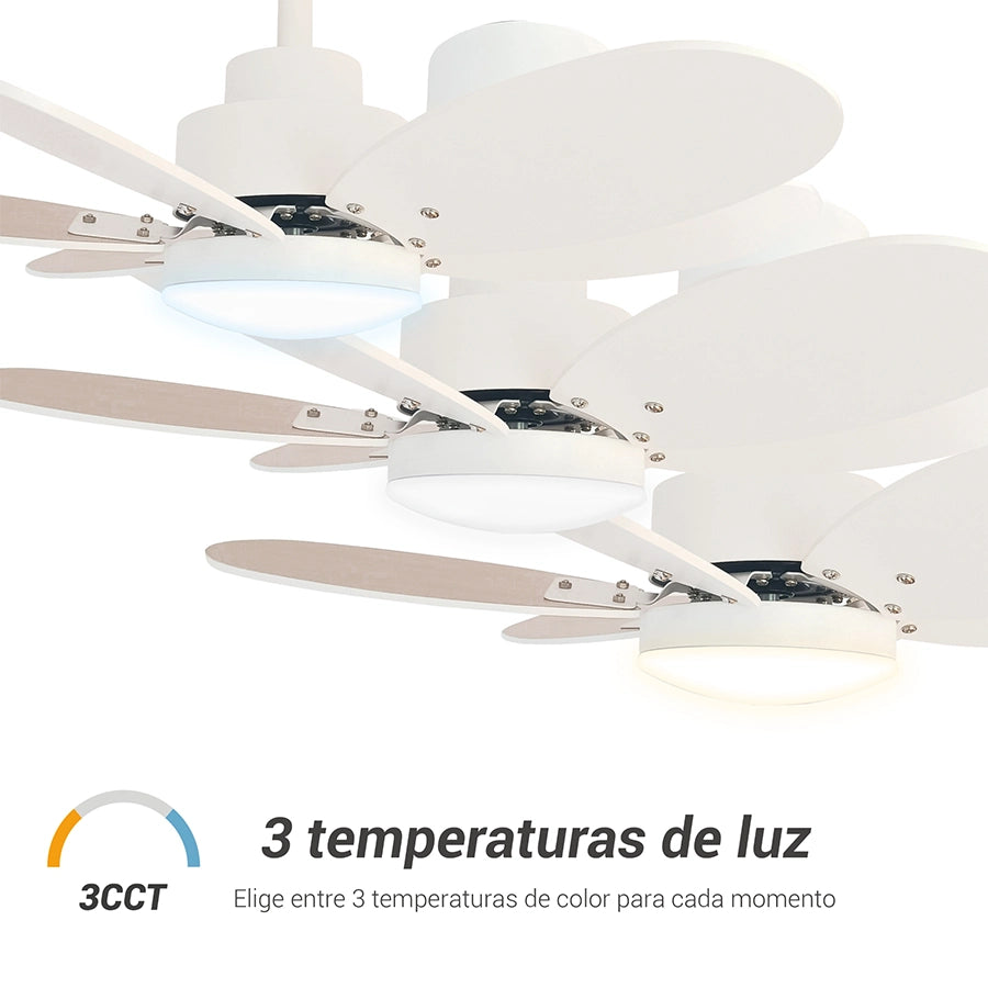 ventilador-de-techo-rainbow-s-sulion-007